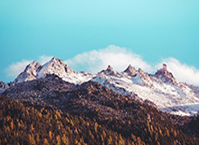 官方网站-世界杯资格赛中国女篮不敌比利时队