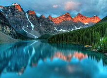 官方网站-世界杯资格赛中国女篮不敌比利时队