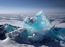 官方网站-世界杯资格赛中国女篮不敌比利时队